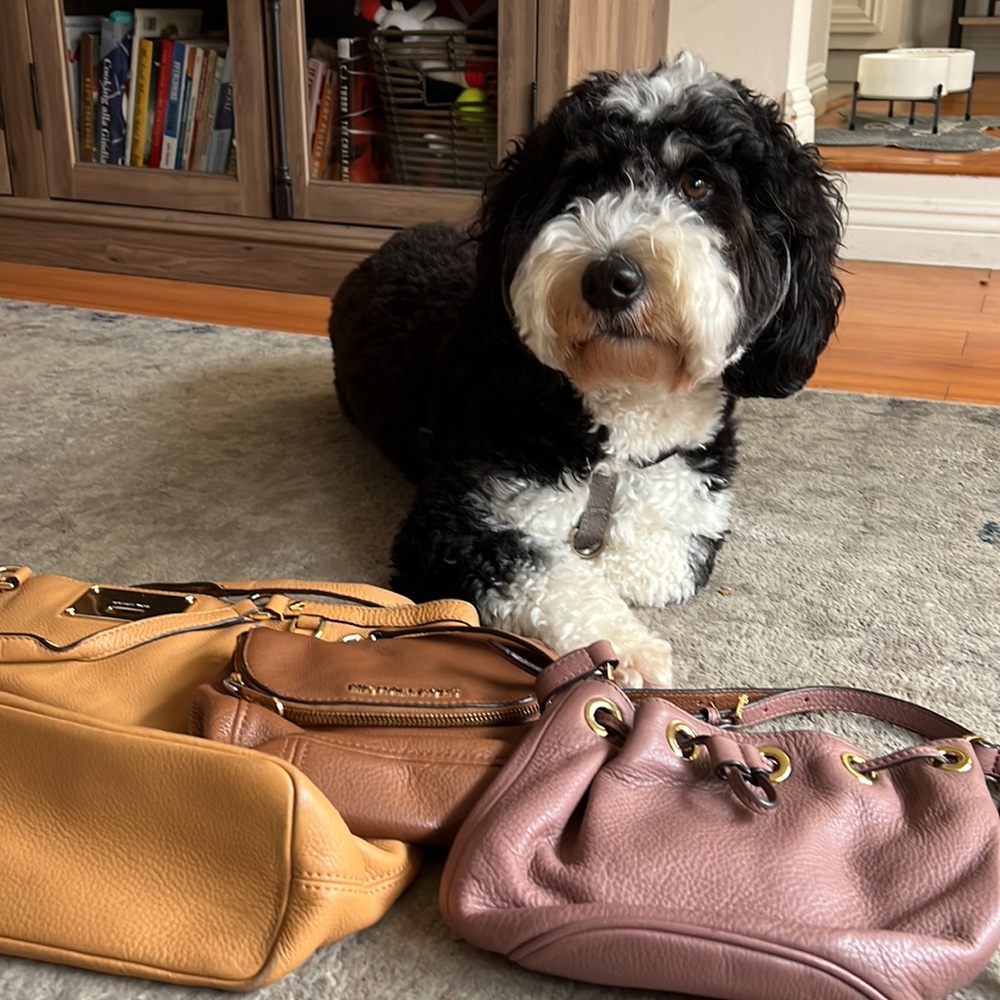 Michael kors bags
